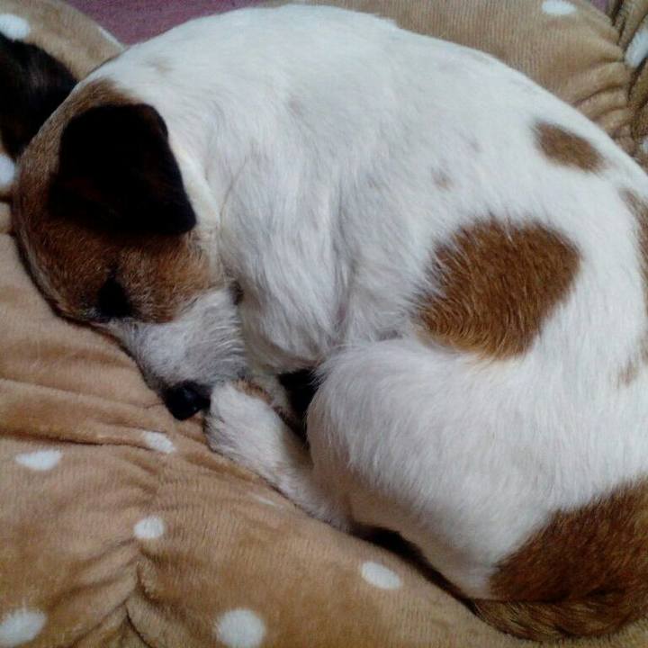 63f4866b eb66 4d18 959b 2fa7643d6940