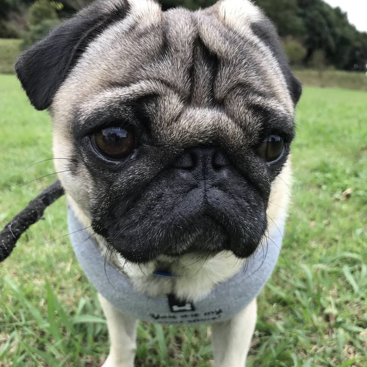 63f4caea 0bed 4661 ae7f 078f55a213d4