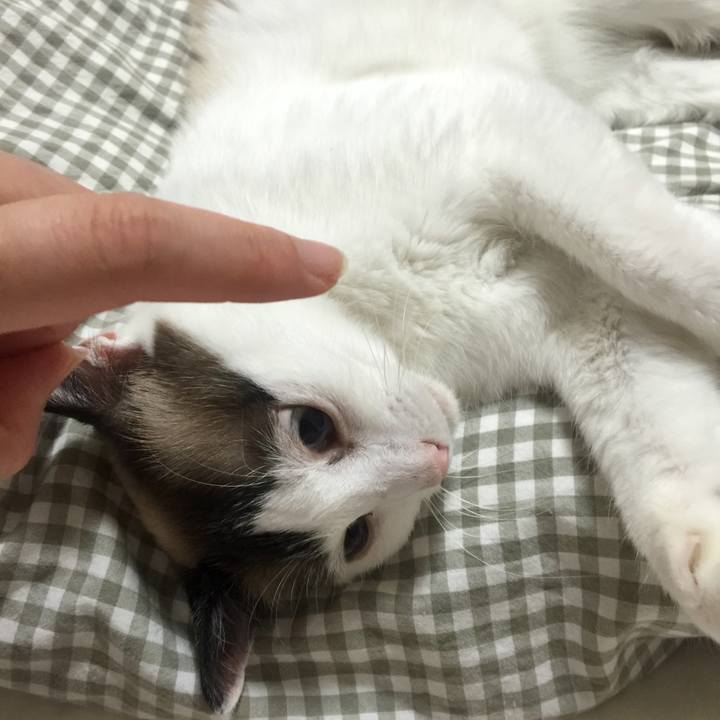 63f5186b 1e50 4792 992f 1be6a652cfbd