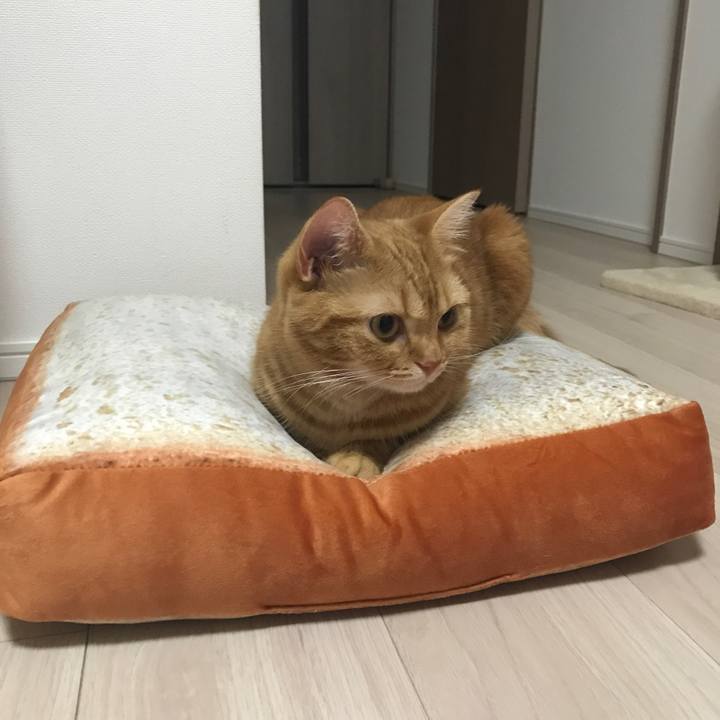 63f52cda 40a0 4c42 96f4 089646cc8238