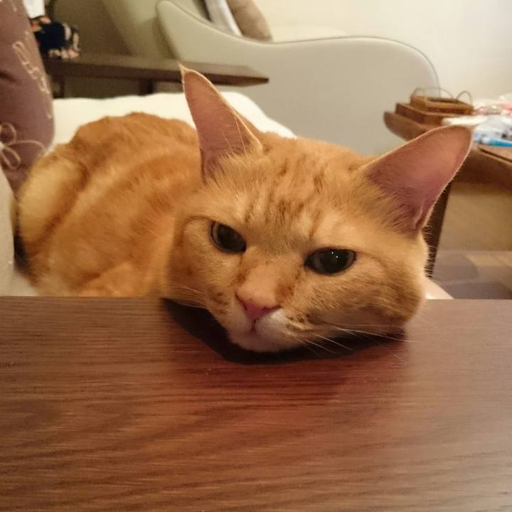 63f583a4 e194 4d42 9f27 9eca2eadedc5