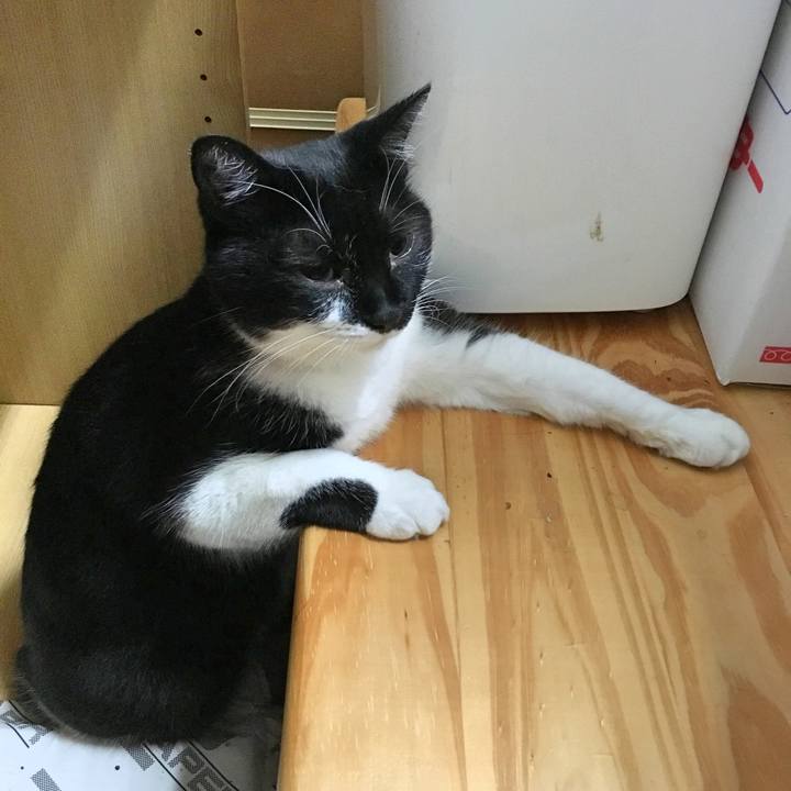 63f5d3ab 92f2 4c8f 8eb3 a0ef0b9bad8d