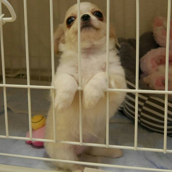 63f5f2b8 db01 4f1c 9e1d a25d46a852b3