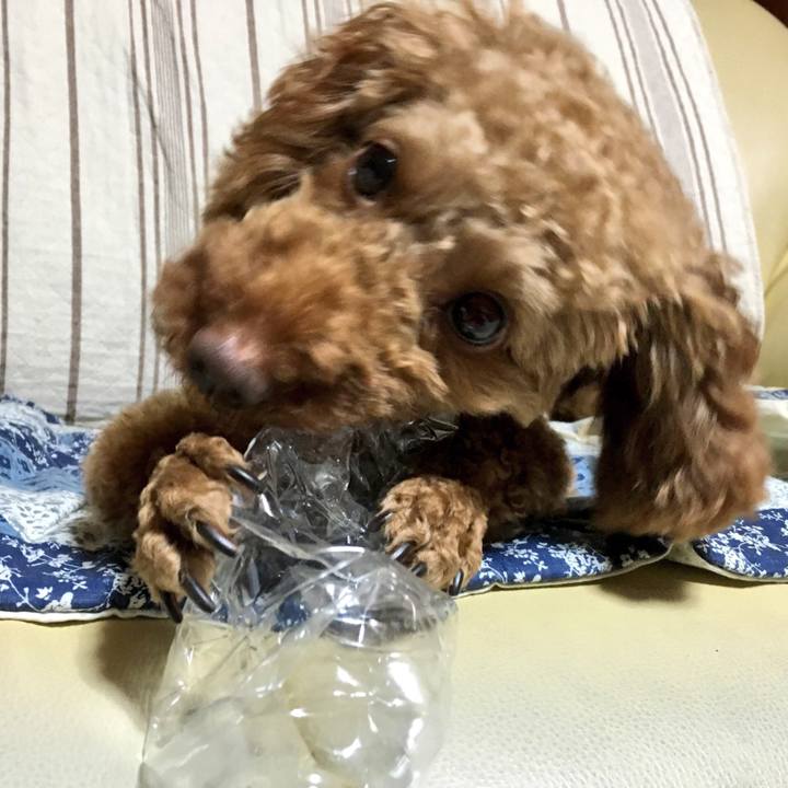 63f614f7 4c59 46aa 9530 5c4ee5b81ae7