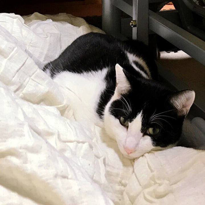 63f7bd2c 2c1e 419f 8093 6deaa38fb621