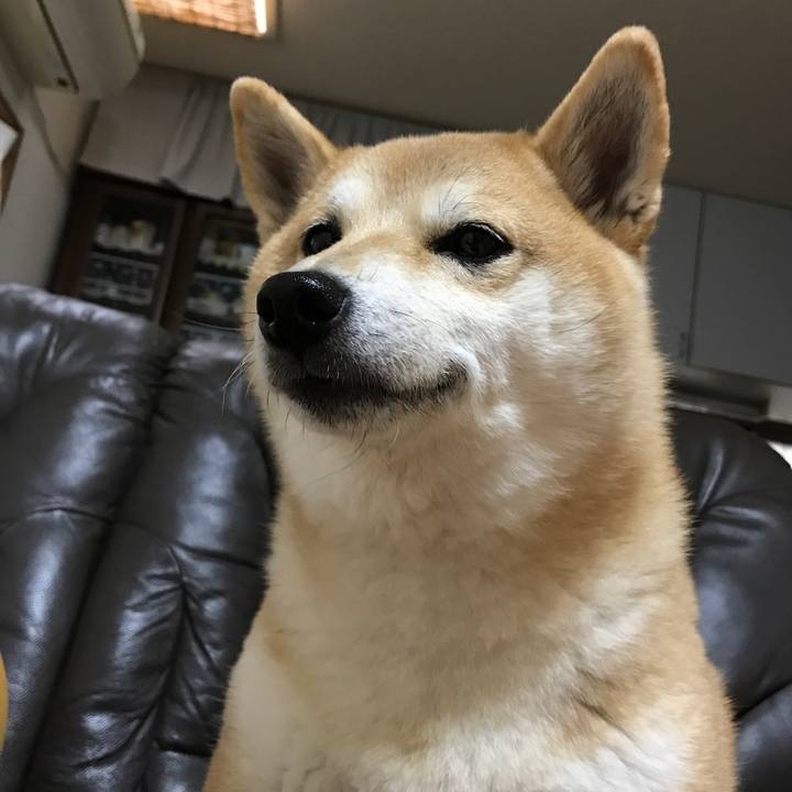 63f7d0ee 179c 4647 9f02 2bb229bdade7