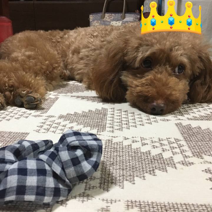 63f8a840 2ca6 45f0 b035 740ac2fd6c97