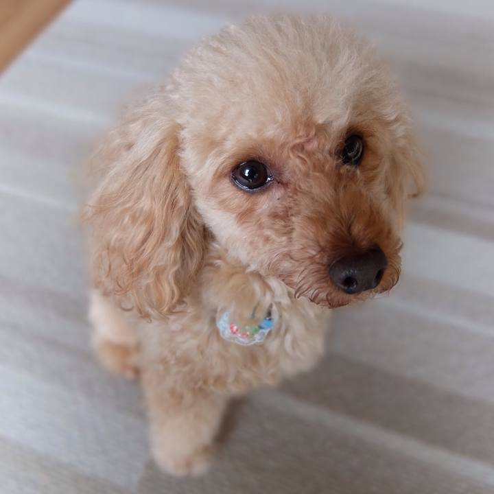 63f8facd f85e 40c7 a25e b645a71dd7d5