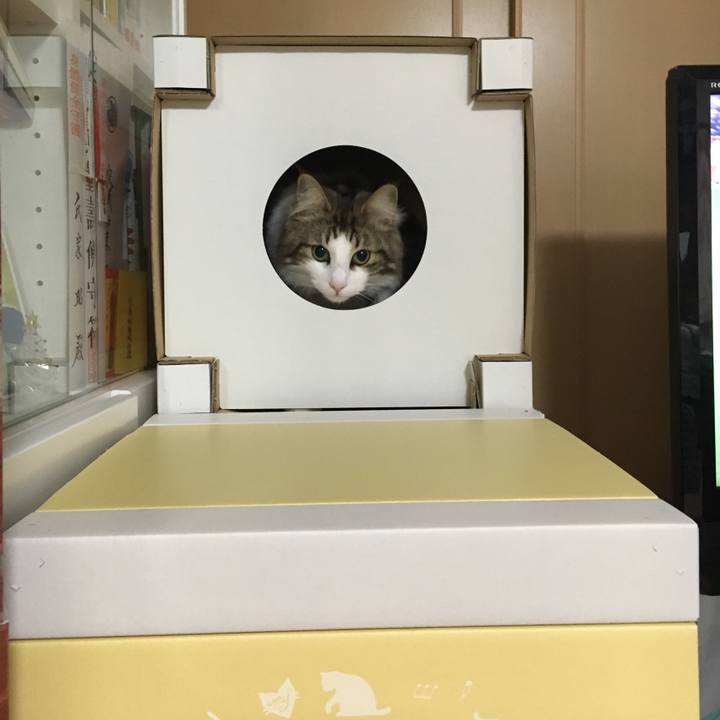 63f9e61e 4864 46b3 91fc 7e05ebc3443b