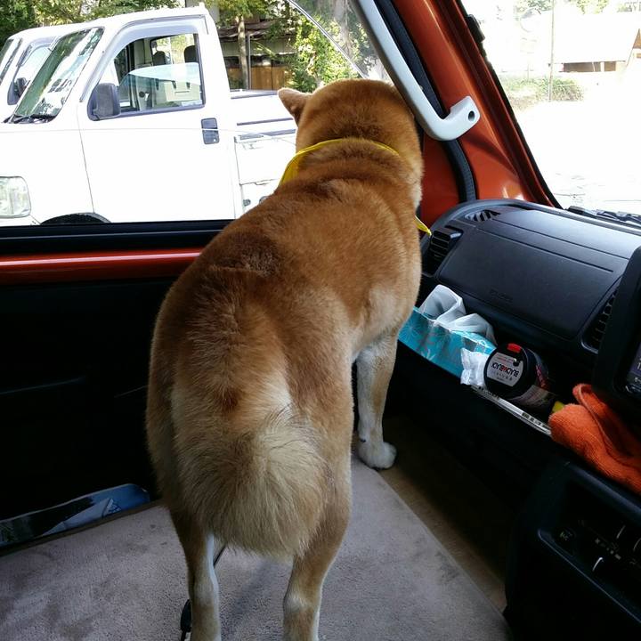 63fa280e 00a2 485a 9f57 e2a8b6249e0c