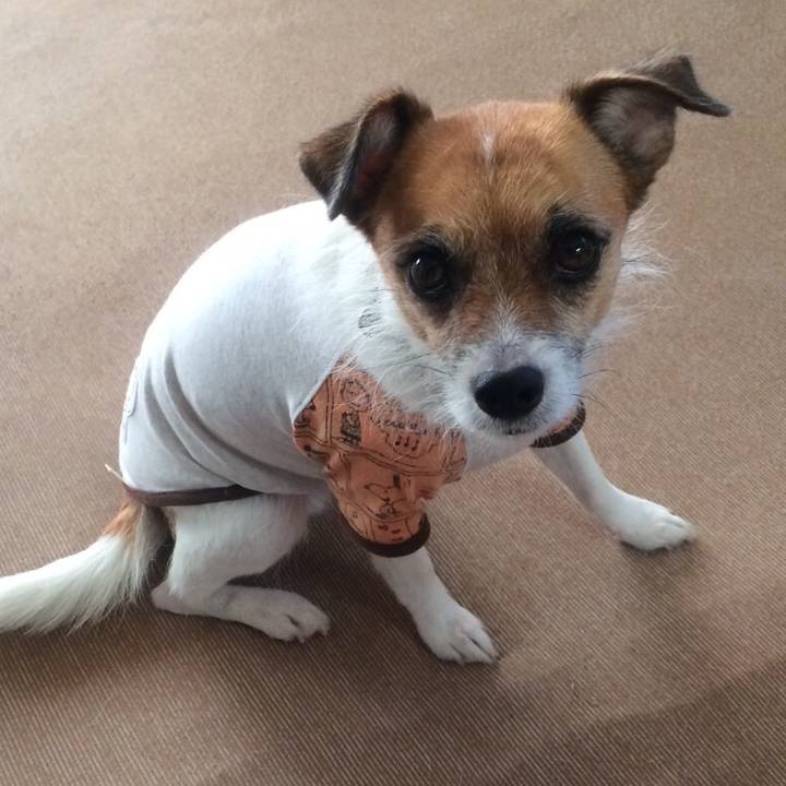 63fa2b71 e241 40d9 9ca8 8df32350f6b2