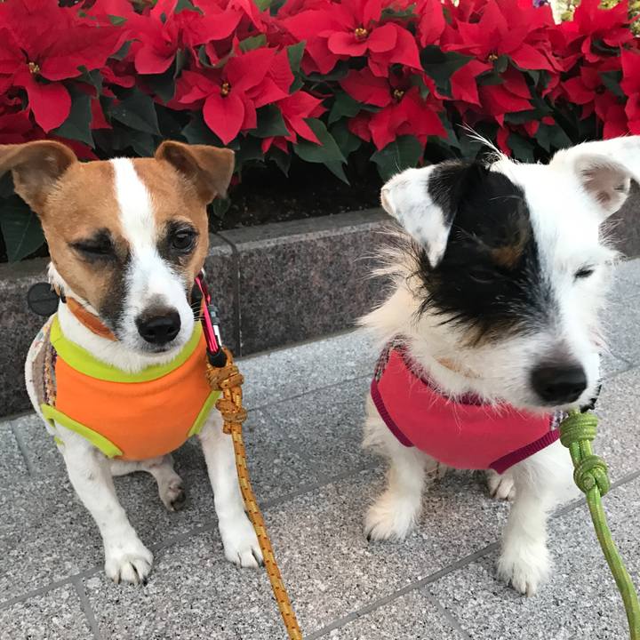 63fa9350 ef69 4ea3 bdc4 ec9cbd3b81c5