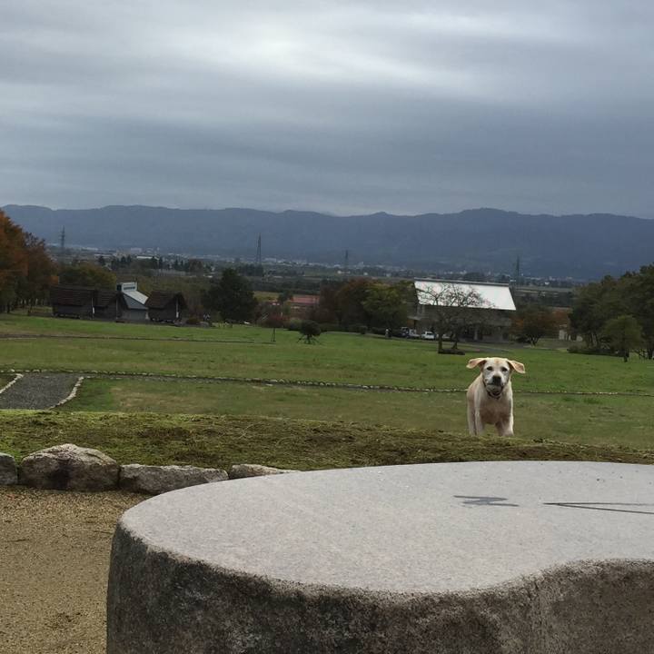 63fac52a 8170 4234 bcda ee20373adf69