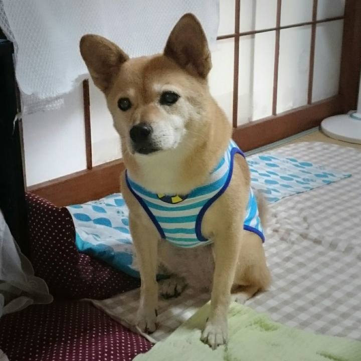 63fadcfb 3a7c 47ee 820d 55e9db4ba526