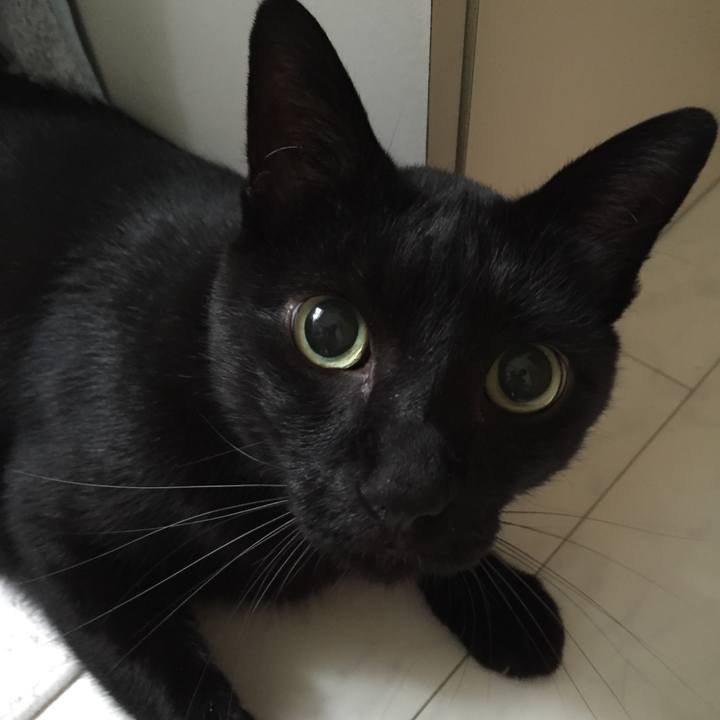 63fba24b 25b1 4645 b2f1 92d087003237