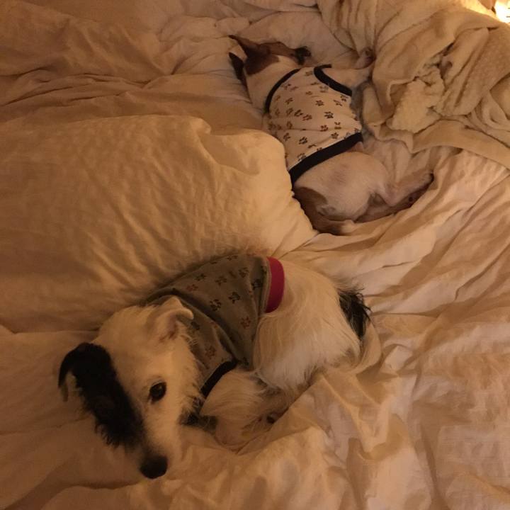 63fbbcce 0864 4ec3 8ec2 c387440e939c