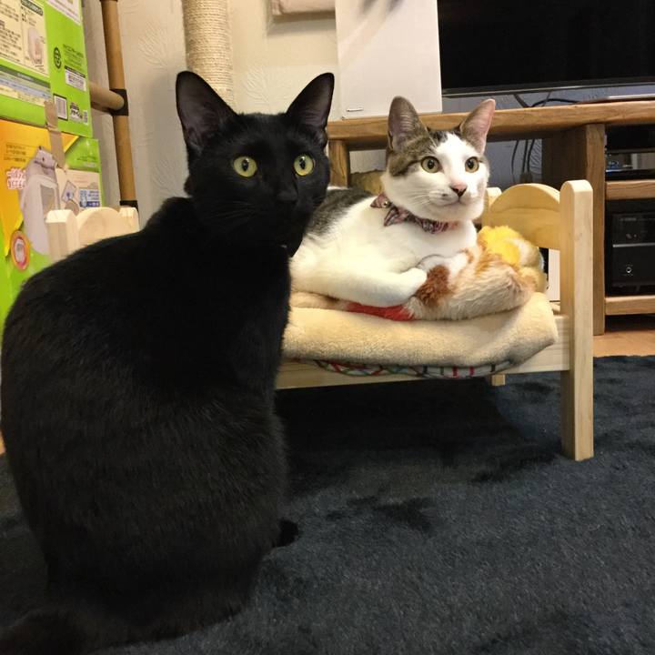 63fbc72e 0658 4b8b 967e 3c84ffde350e