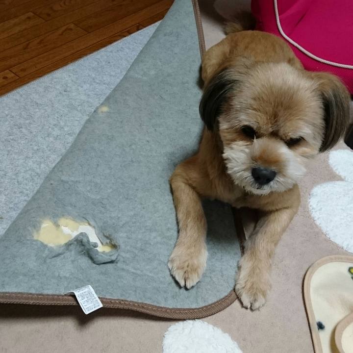 63fbcf31 bd43 4251 8cb2 4de9a08aeac6