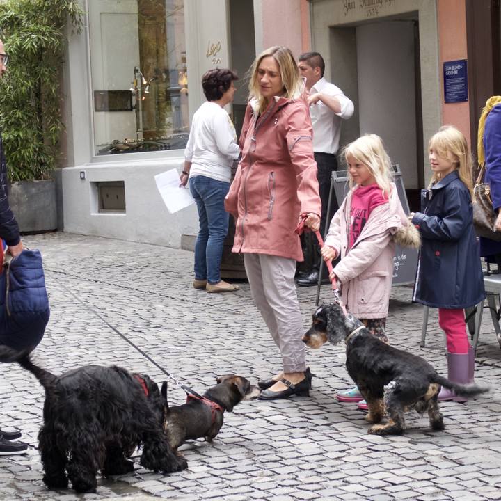 63fca797 876e 453d 94f9 8e0d3d7c1066