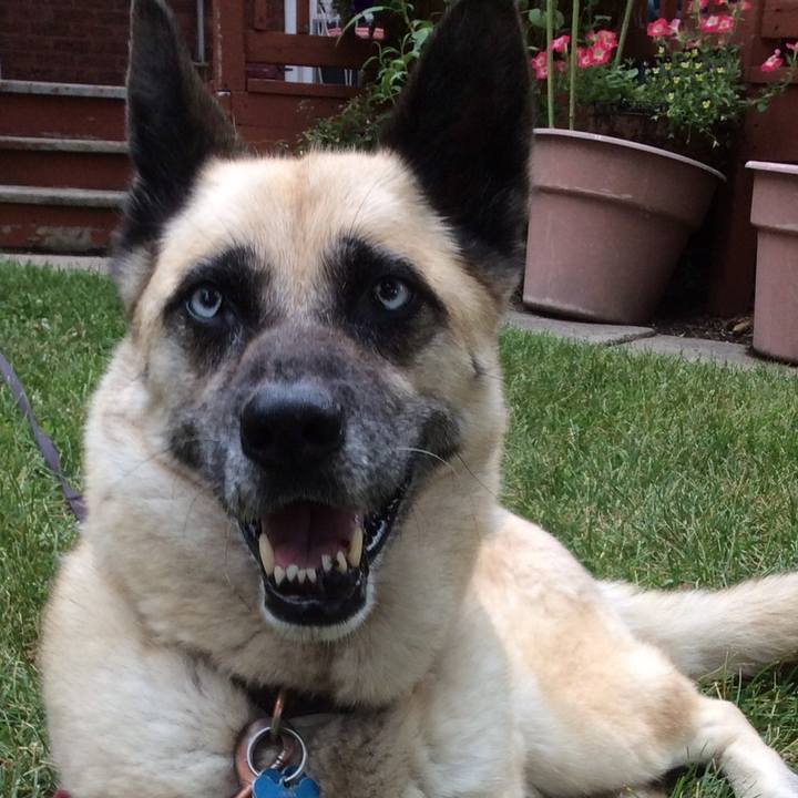 63fcbdbb 7c4a 45b7 a452 bdd45d57b9db