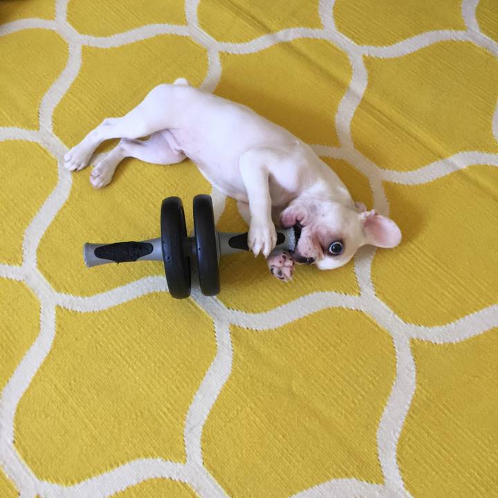 63fccbab 2a43 4aa8 8bfc 40b97398c3b3