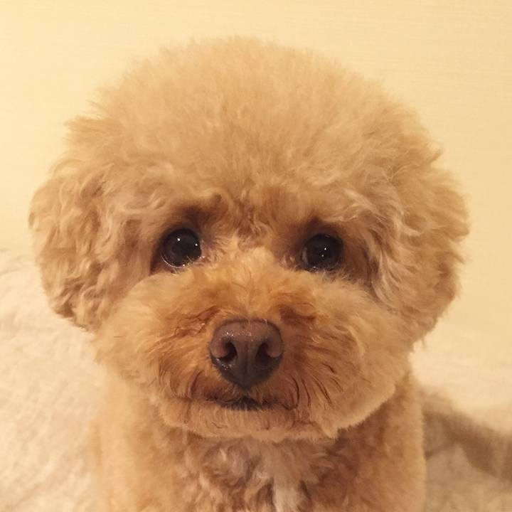 63fcd8cf 5d03 4f07 a3d3 af0b9d10018d