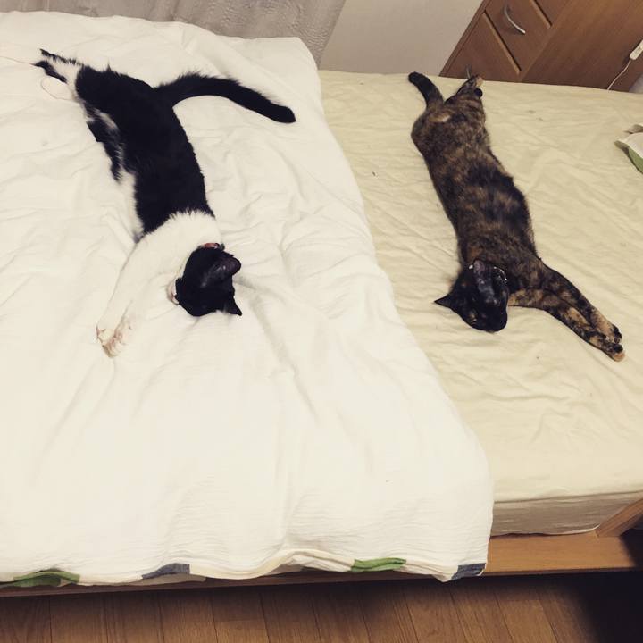 63fd0c7d 56a8 409c 8552 13f9391f1571