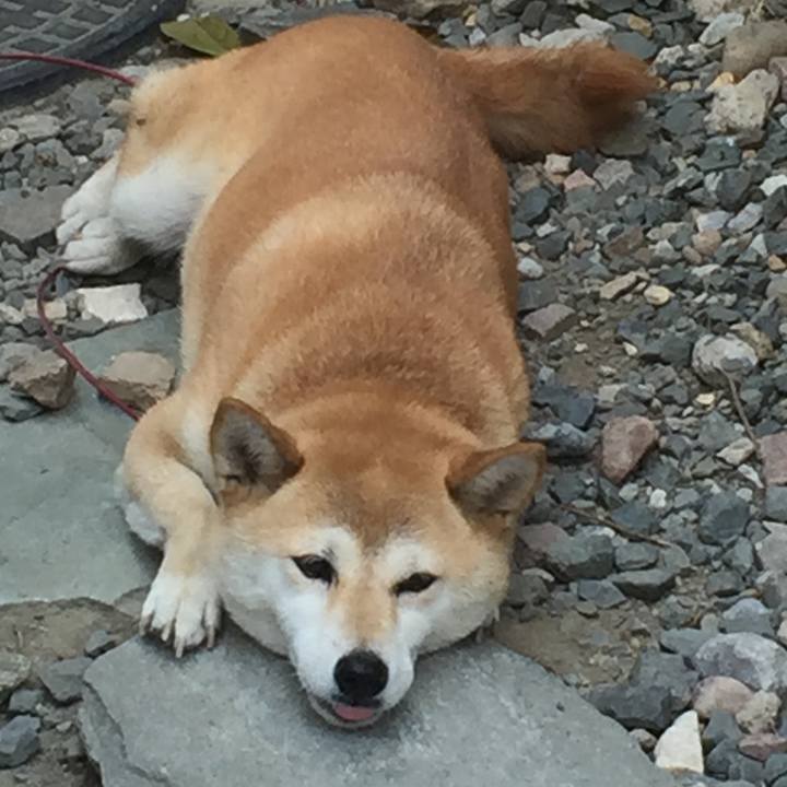 63fd552d 1575 4606 9283 9e273c225157