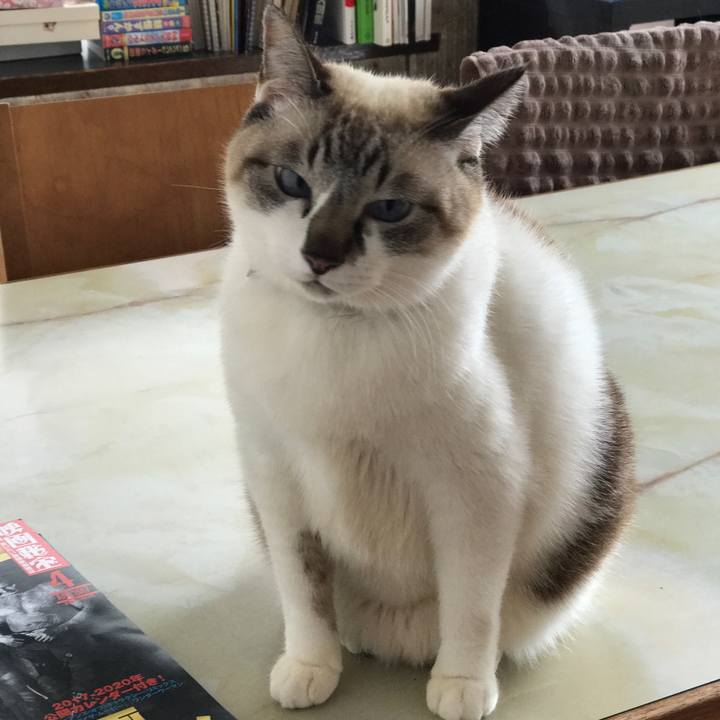 63fd68e2 d8c8 4742 9f1c b272e4b218b4