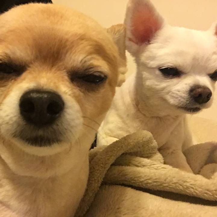 63fdb0ec 627a 4ce6 9c6c 208ccdb36d8d