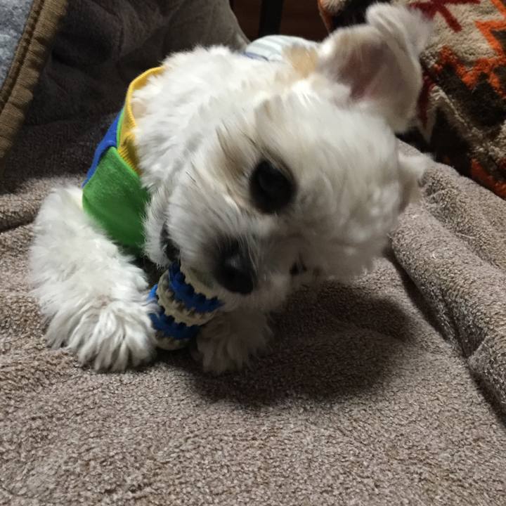 63fde5d7 3de3 4ad3 aae2 e649cfdee507