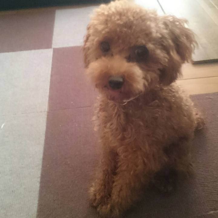 63fdfbaa c0ce 4af3 b4eb 58a0c610fc93