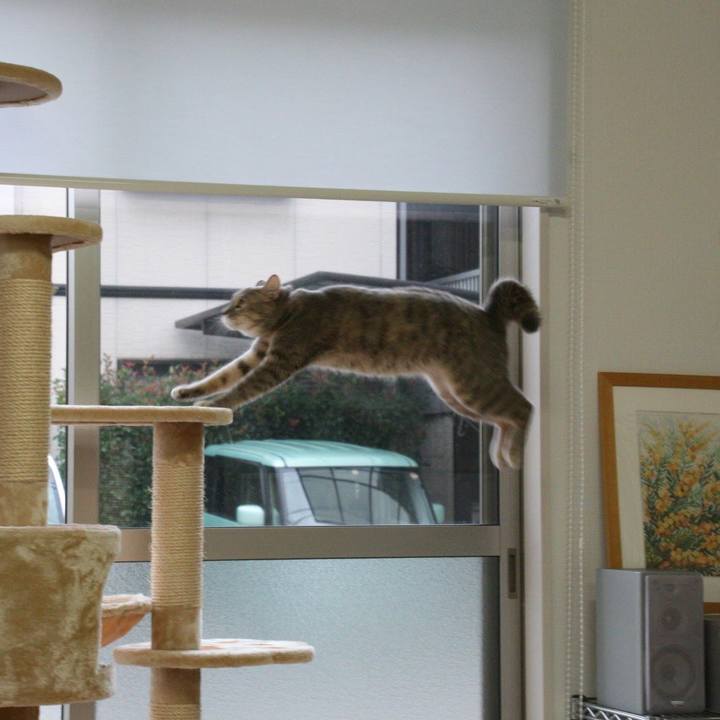 63fe09a7 357f 416d a410 6f292e35411d