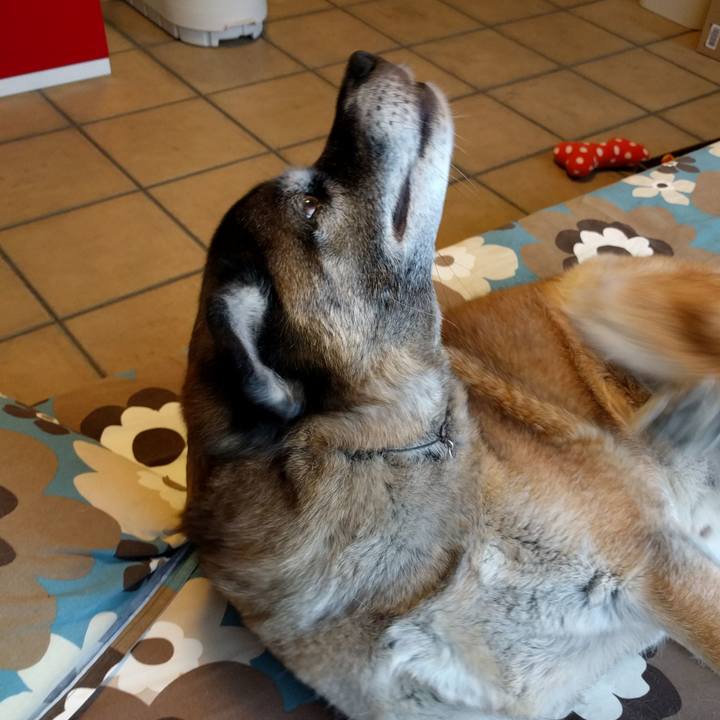 63fe2476 d1bd 4809 9c1d 42c4ab3be1b0