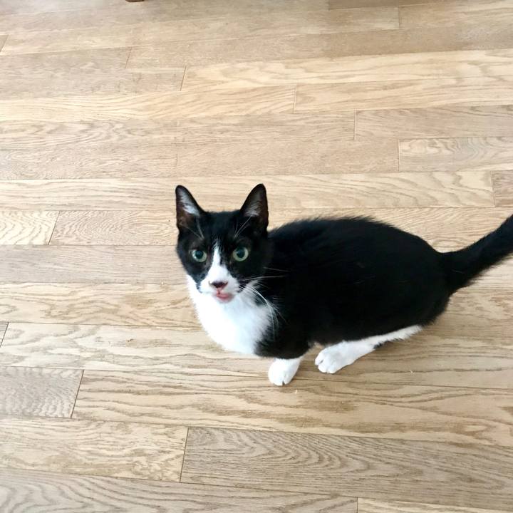 63ff0f5f 5342 484d 9798 cccccf6a3877