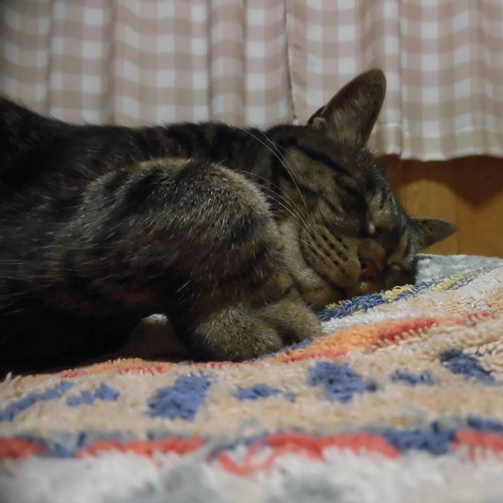 63ff4fdc 0fae 4870 bdfa e6af0f89899e