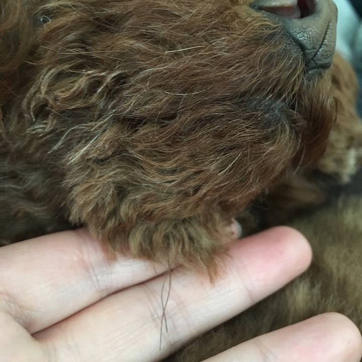 63ff9e89 eb27 4c92 830a fa117c798885