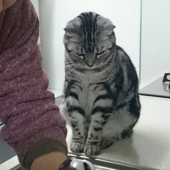 64003ca3 0b8c 4f81 b328 0f35b6bb1ed3