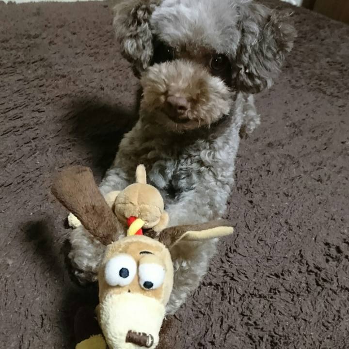 64008f3c 350b 4e45 bce8 f998f3a8ad25