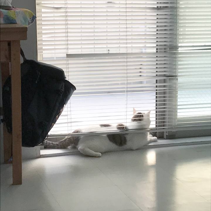 640106c6 dd30 441e acc0 b105187b365c