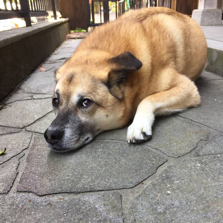 6401a805 c218 4174 a902 4342420e342f