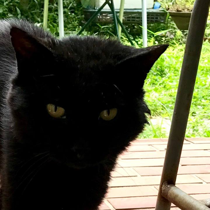 6401ed61 963a 4829 8fc8 3d68d3ae4f0d