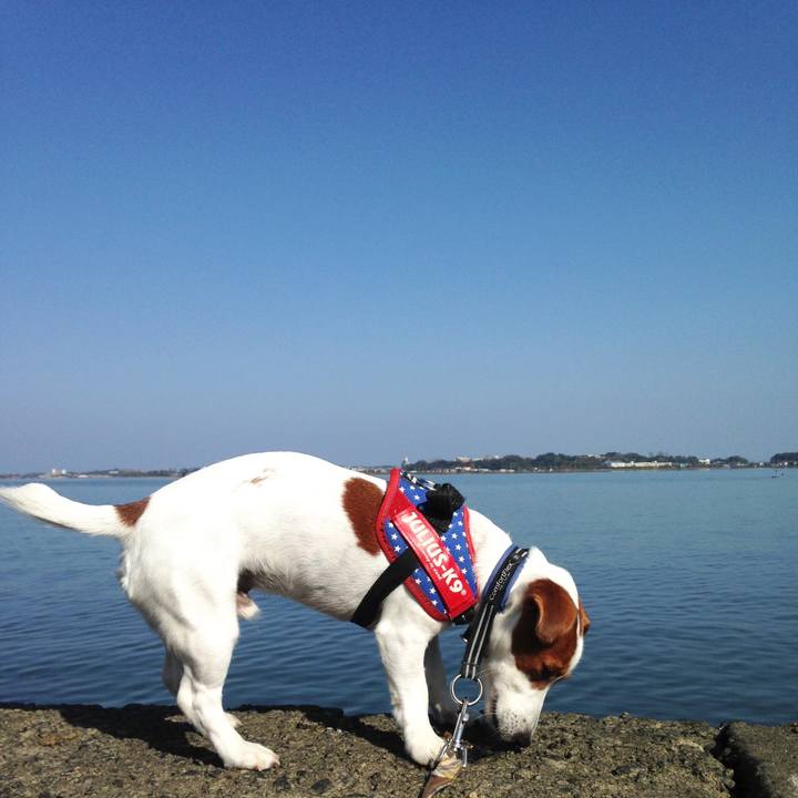 64020d12 23a7 4a7c 955d e9f84f734df9