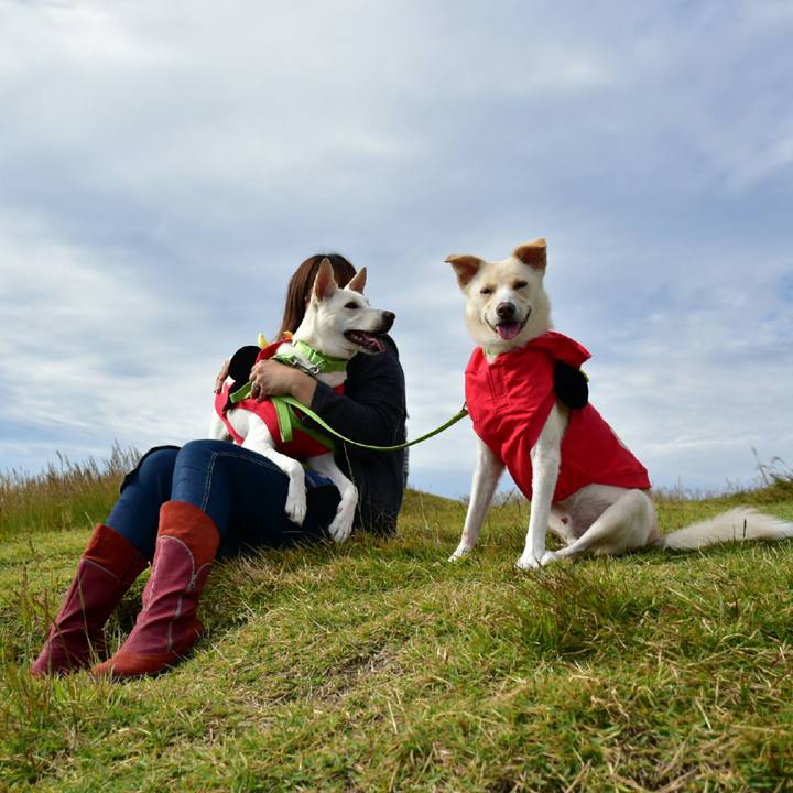 64032106 4648 41fc 8180 e1fa400cc6e3