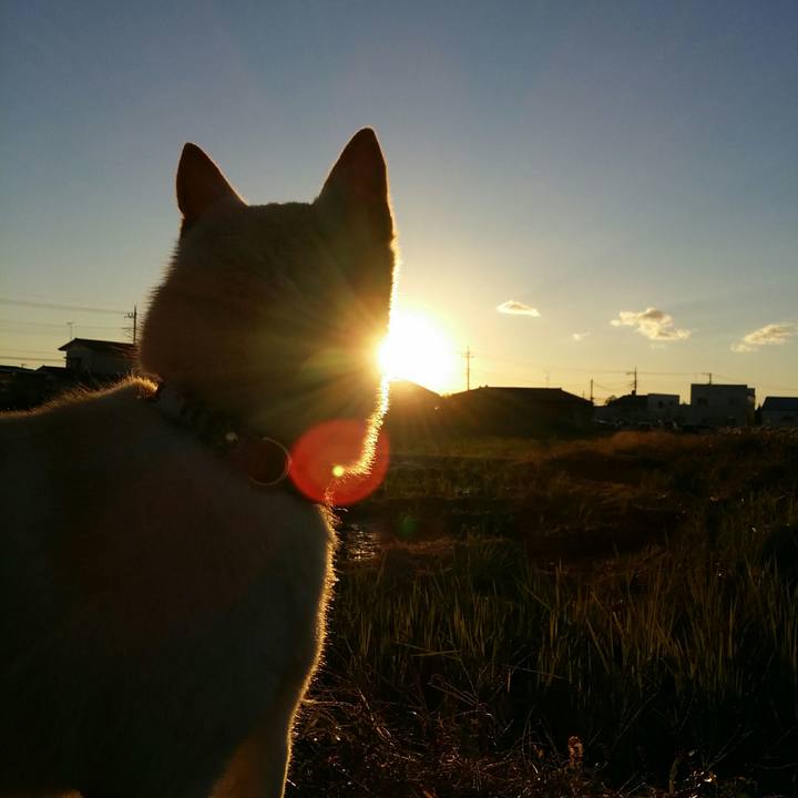 64033bc5 64d7 4b9f 909f d147a6b07d54