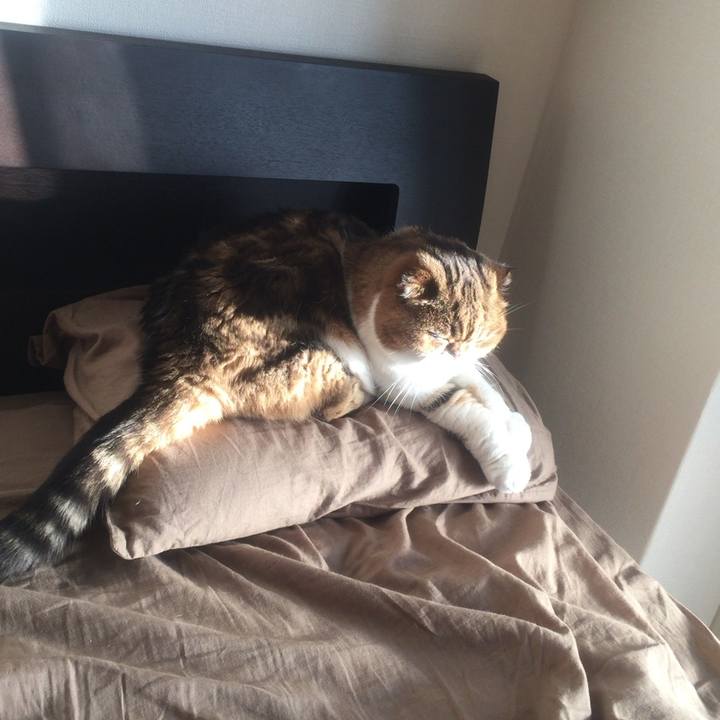 6403a69a 8b46 4616 abdf cd3b67c19d50