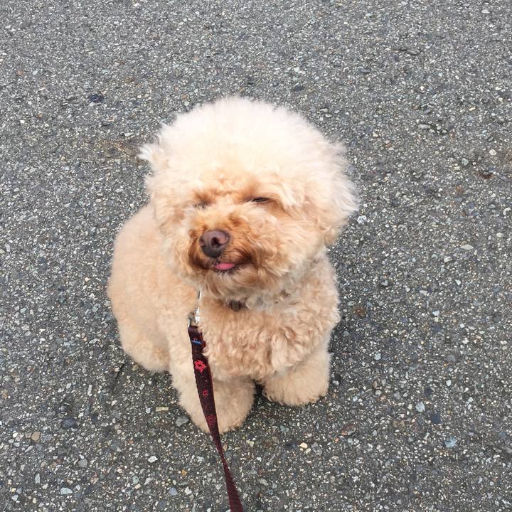 6404128c c5a3 40c0 a489 3a412cc9f545