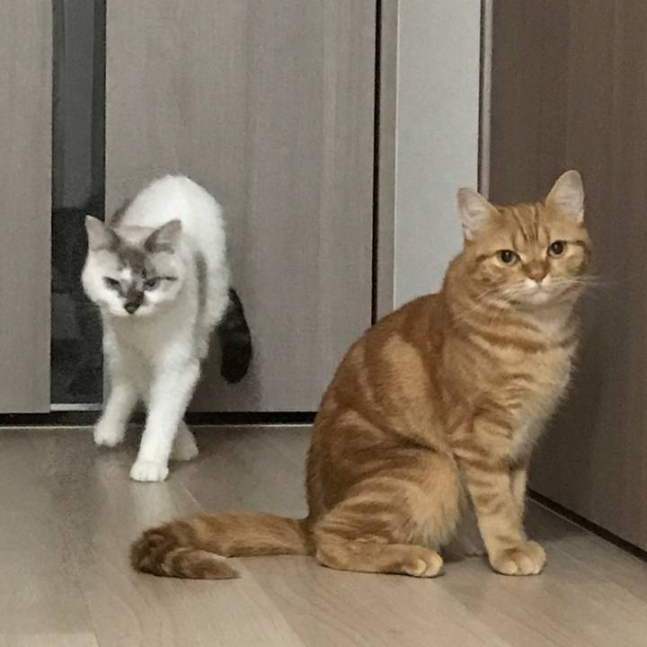 640428b9 732a 462a 9a85 fa3014e1aff1