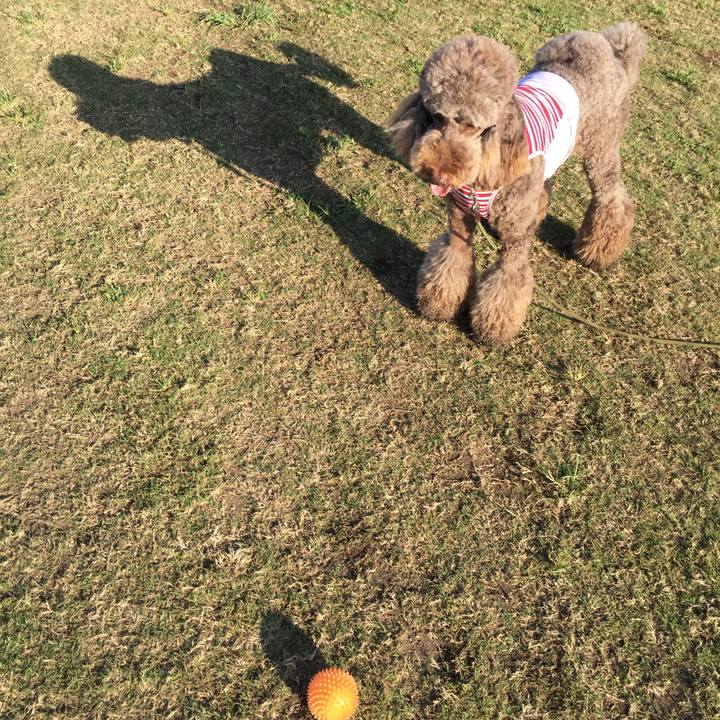 6404b3ff d74f 483e a4ea e66eab21314d