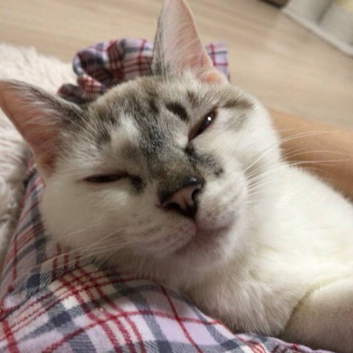 6405e95a 518a 43a1 9433 1f8300d97983